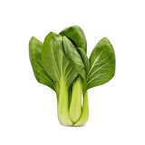 YEŞİL PAK CHOI - ÇİN LAHANASI TOHUMU