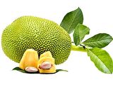 JACK MEYVESİ  TOHUMU ( JACK FRUIT )