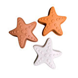 Swim Essentials Sea Star Orange Silikon Kova Küret Seti