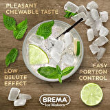 Brema Haznesiz Granül Buz Makinesi, 250 kg/gün Kapasiteli