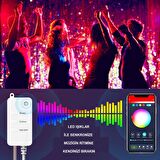 UpWay Bluetooth 10 Metre RGB Renk Değiştiren Akıllı Küre Dizili Işıklar USB 66 LED Kumandalı