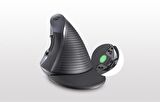 Delux M618GX Ergonomik Dikey 6 Tuşlu Kablosuz Optik Mouse