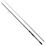 Ryuji Sky Force 248 cm 4-35 gr Spin Kamış