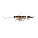 Savage Gear 3D Shrimp Weedless 9 cm 7 gr Silikon Karides Renk : Plum Chartreuse