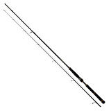 Daiwa New BG Seabass 250 cm 10-35 gr Spin Kamış