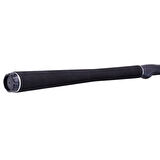 Daiwa Sensor Palangrotte 180 cm 20-100 gr Bot Kamış