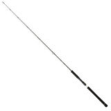 Daiwa Legalis Oceano JG 198 cm Max 350 gr Jig Kamış
