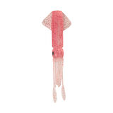 Ryuji Calamari 20cm 10,5gr Yedek Silikon Yem Renk : Pinky Uv