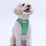 KÖPEK GÖĞÜS TASMASI 