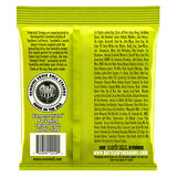 Ernie Ball 2240 RPS 10 Slinky Takım Tel Elektro Gitar Teli 010-046