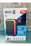 NDR-W12 Full RGB Işıklı 12 inç 20 WATT Taşınabilir Kablolu Mikrofonlu Bluetooth Hoparlör Ses Sistemi