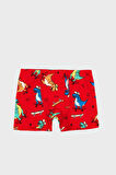 Lela Erkek Çocuk Boxer 6651005DINO