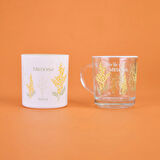 Mimosa Kupa ve Mum Seti - Renkli - 250 ml