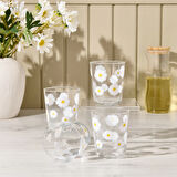 Fiona 4'lü Bardak Seti - Şeffaf - 315 ml