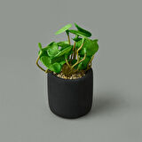 Mini Pot Soft Yaprak Saksılı Çiçek - Asorti - 8x6x6 cm