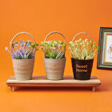 Dekor İpli Saksılı Yapay Çiçek - Asorti - 11x18 cm