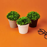 Dekor Saksıda Bitki - Asorti - 12x13 cm