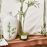 Deco Blad Mum - Yeşil - 150 gr