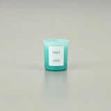 Basic Soft Lemon Grass Kokulu Mum - Yeşil - 120 gr