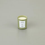 Le Jardin Citrus Sage Kokulu Mum - Yeşil - 120 gr