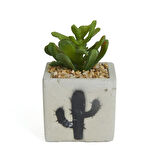 Beton Saksıda Yapay Sukulent - Asorti - 7x10 cm