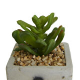 Beton Saksıda Yapay Sukulent - Asorti - 7x10 cm