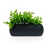 Coral Oval Saksı - 0,55 lt - Asorti