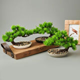 Dekor Bonsai Yapay Çiçek - Asorti - 25x18 cm