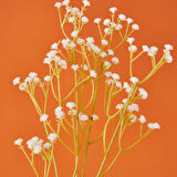 Cipso Yapay Çiçek - Beyaz - 63 cm