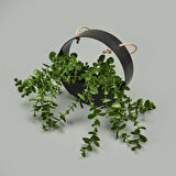 Dekor Yapay Okaliptus - Asorti - 50x20 cm