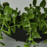 Dekor Yapay Okaliptus - Asorti - 50x20 cm