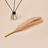 Dekoratif Tüy - Somon - 44 cm