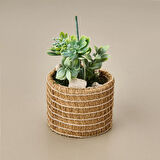 Natürel Çiçek - Asorti - 15 cm