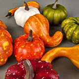 9'lu Dekoratif Köpük Kabaklar - Renkli