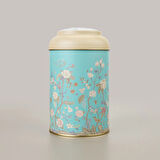 Botanica Metal Saklama Kabı - Renkli - 10,5x15 cm