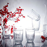 Echo Damla 6'lı Su Bardağı - 250 ml