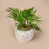 Areka Saksılı Yapay Çiçek - Gri / Yeşil - 35 cm