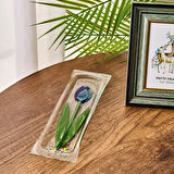 Deco Lale Cam Tabak - Mavi - 28x8 cm