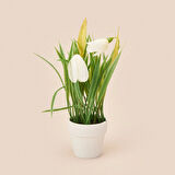 Spring Çiçek - Asorti - 6x5 cm