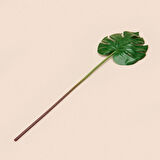Deve Tabanı Dal Çiçek - Yeşil - 45 cm