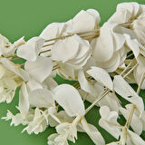 Exclusive Okaliptüs - Beyaz - 47 cm