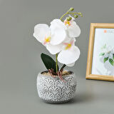Etnik Desenli Beton Saksı Real Touch Orkide - Asorti - 28x12x12 cm