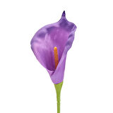 Deco Yapay Zambak Çiçeği - Mor - 60 cm