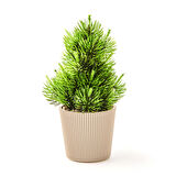 Dekor Saksılı Yapay Çam Ağacı - Renkli - 15x5 cm