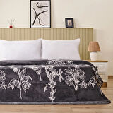 Soft Davi Pamuklu Çift Kişilik Battaniye - Ekru / Antrasit - 200x220 cm