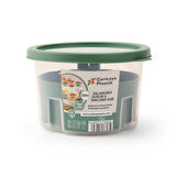 Salamurex Turşu ve Zeytin Kabı - Asorti - 650 ml