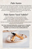 Reyo Nazar Tütsü Demeti Arınma 3'lü Ritüel Set, 2 Adet Palo Santo ve Deniz Kabuğu ( Tuz Hediyeli)