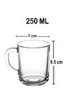 55029 Pub Kulplu Cam 6lı 250 Ml Kupa Bardağı Takımı