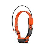Garmin Alpha T 20 - Köpek Tasması