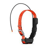 Garmin Alpha TT 25 - Köpek Tasması